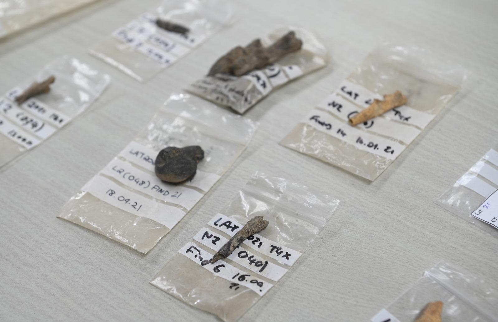 Some of the remains found on site, a few of which are clearly burnt bones. Photo: Matthew Mirabelli