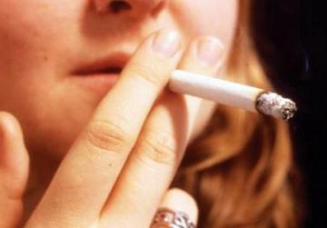 tobacco on flights Going green: SAA flies high in its maiden tobacco-fuelled flight – The Mail  & Guardian