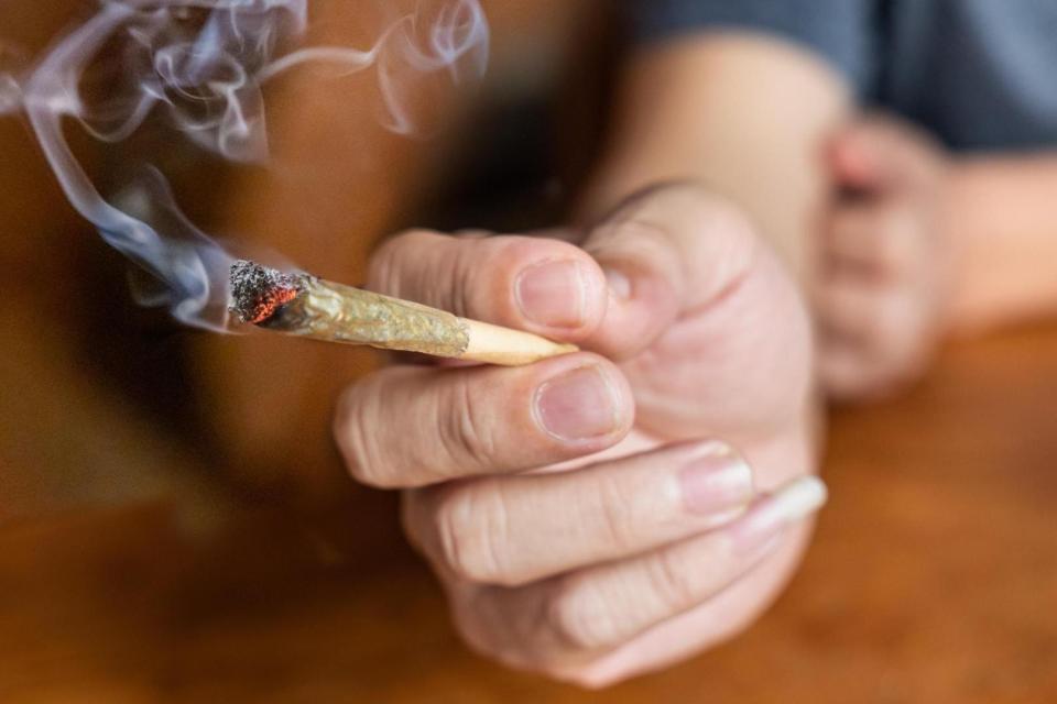 healthier alternatives to smoking cigarettes 7 Best CBD Cigarette Alternatives for Healthier Choices · Full Moons Club Journal healthier alternatives to smoking cigarettes 7 Best CBD Cigarette Alternatives for Healthier Choices · Full Moons Club Journal