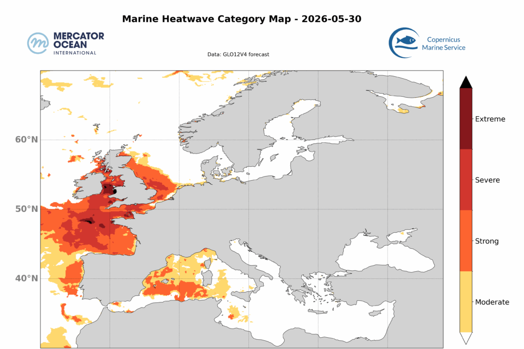 Marine heatwaves seen at the end of May, coupled with a heatwave in June, has led to rising surface temperatures. Graphic: Copernicus Marine Service/Mercator Ocean International.