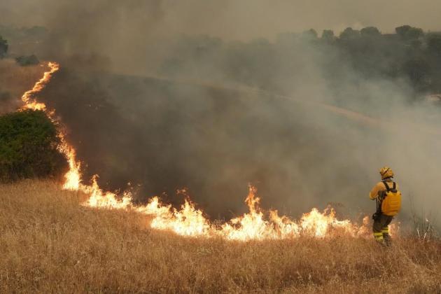 Worst wildfire in Madrid's history forces thousands to flee homes