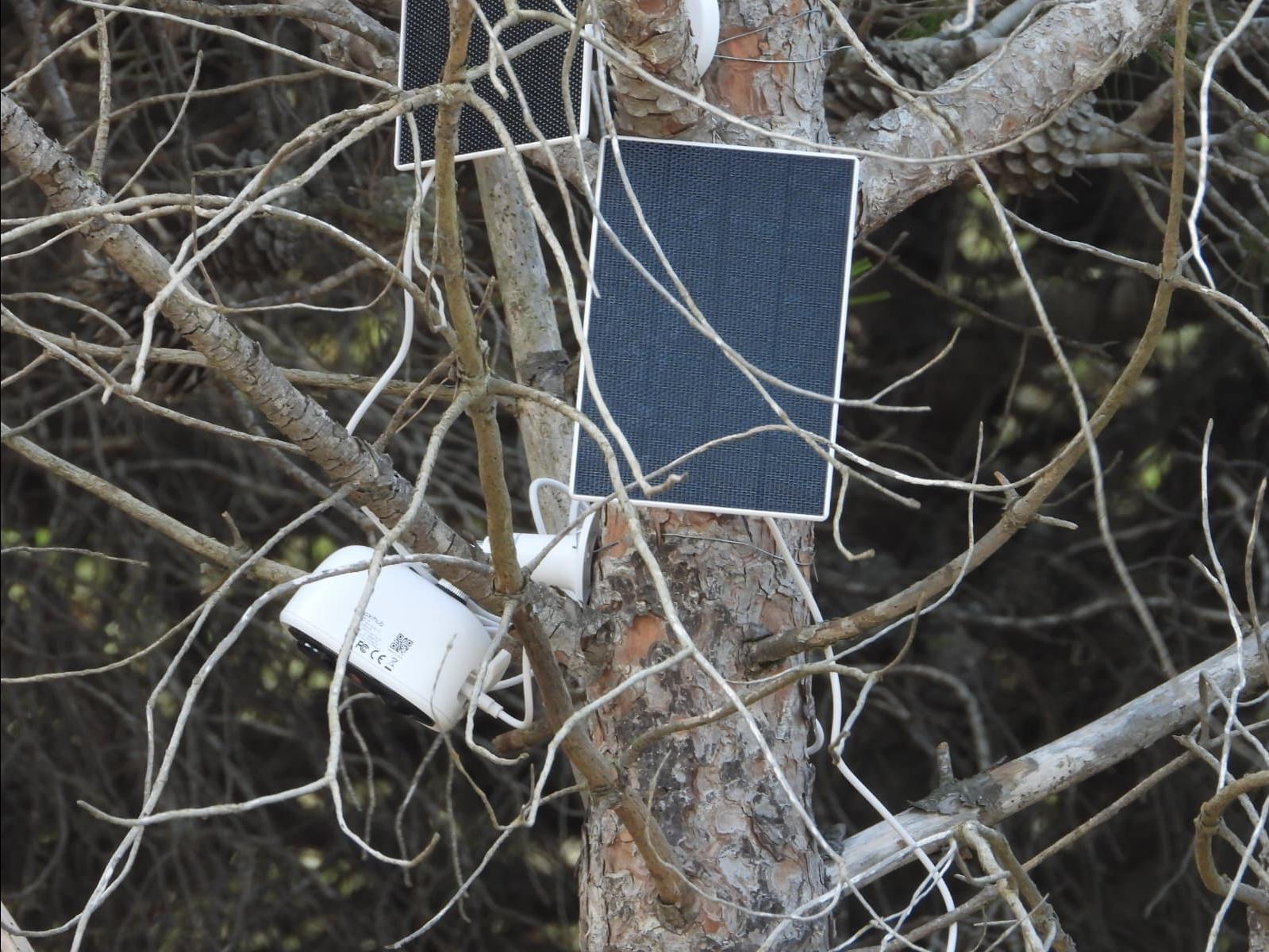 Squatters have even installed solar panels and CCTV.