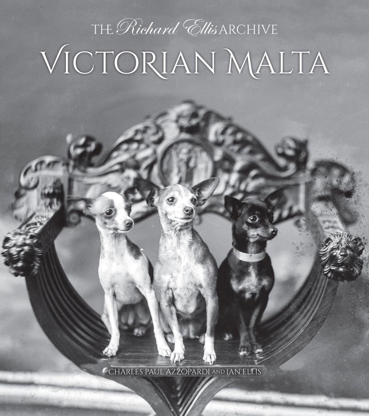 The book's cover