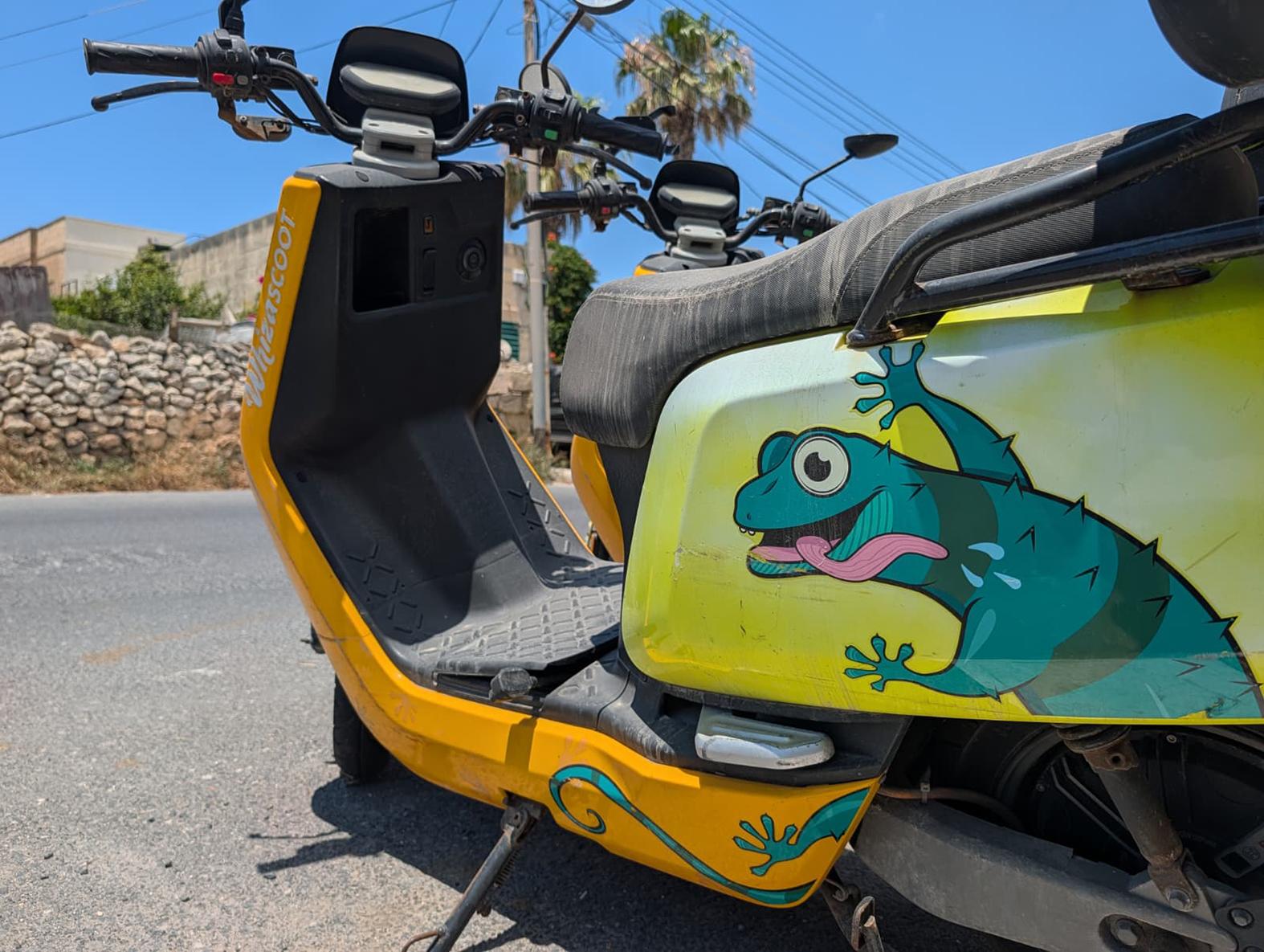 The company was named after the Maltese word for lizard, &ldquo;wiżgħa&rdquo;. Photo: Chris Sant Fournier