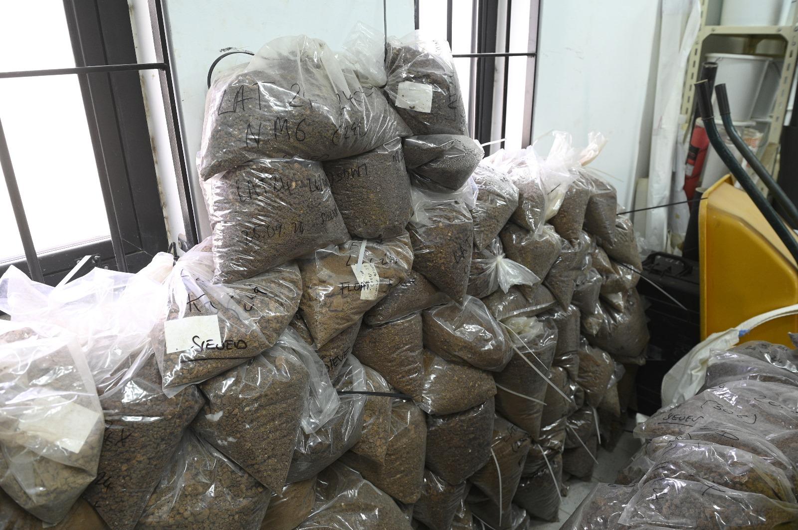 All the soil from the site was lifted and taken to the University of Malta where it is now housed for further testing. Photo: Matthew Mirabelli