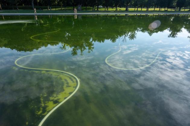 Trump blames 'terrible vandals' for Washington pool renovation woes