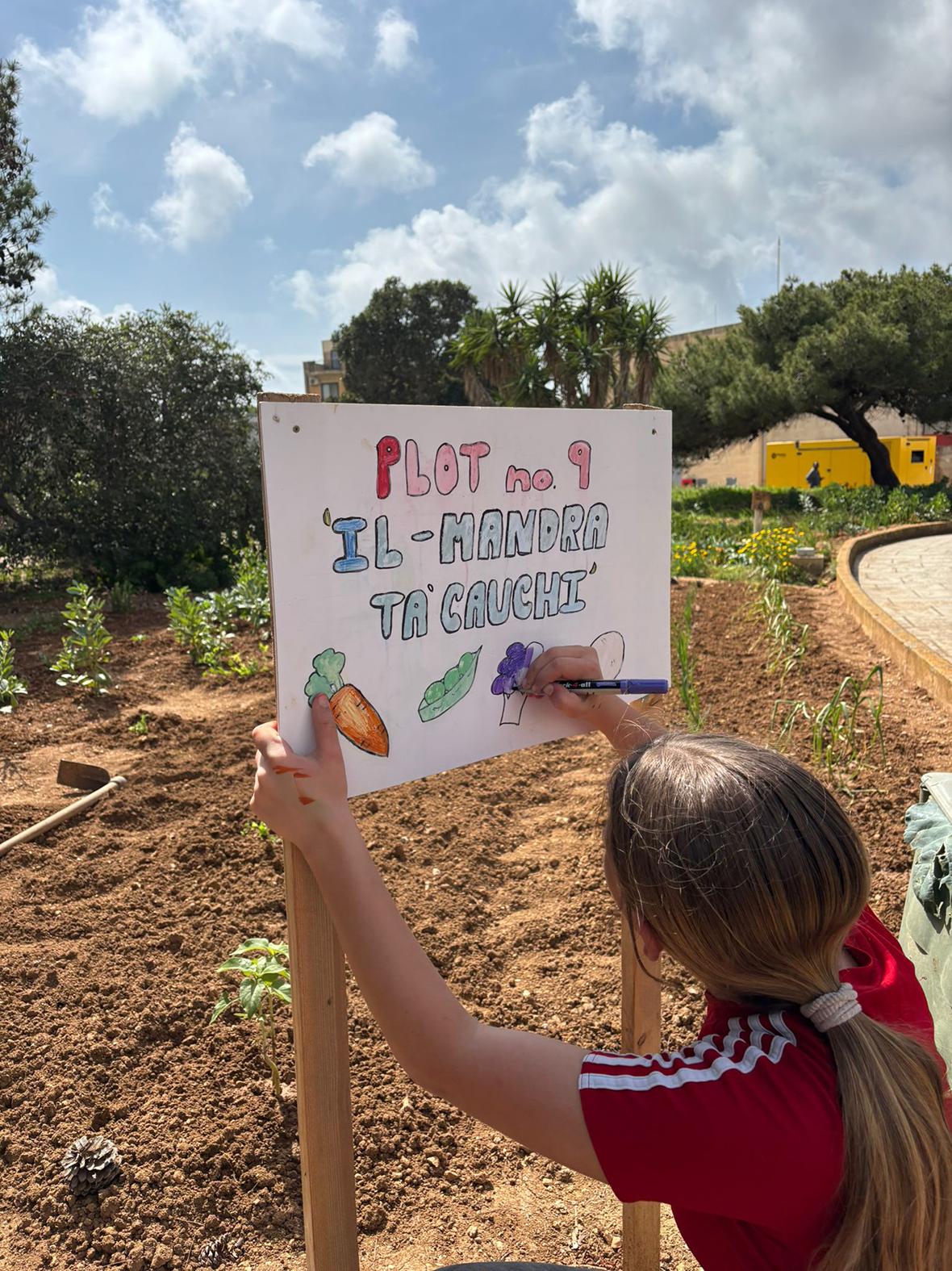 Families of students got a plot each to grow their own crops.