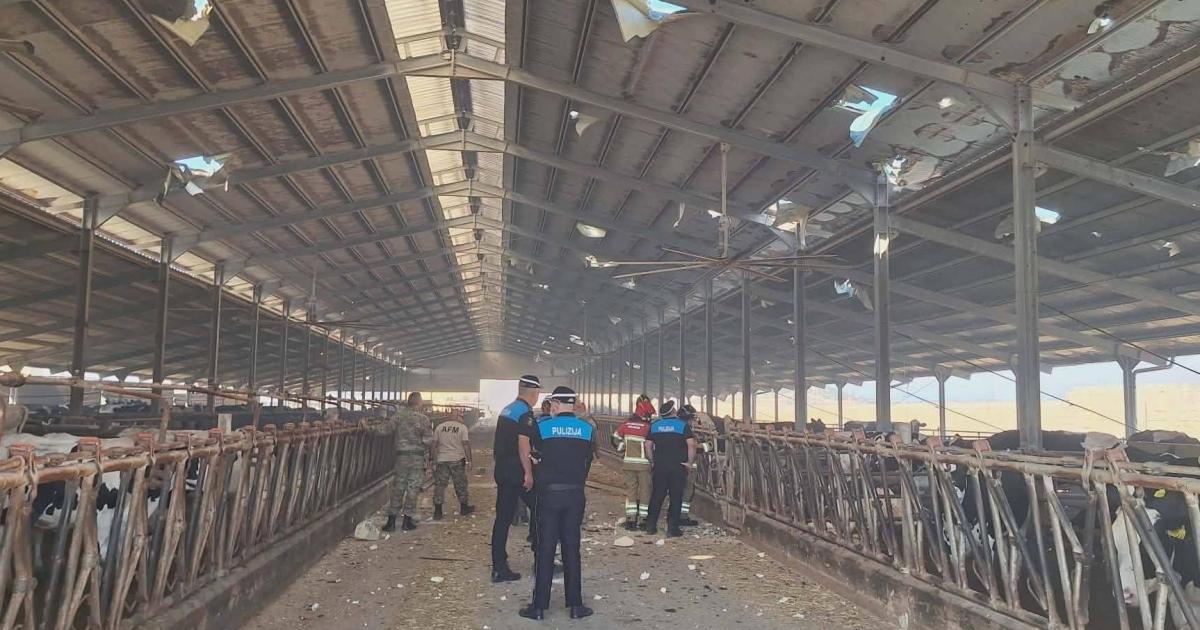 'Everything gone in minutes': Farm hit by fireworks explosion pleads for help