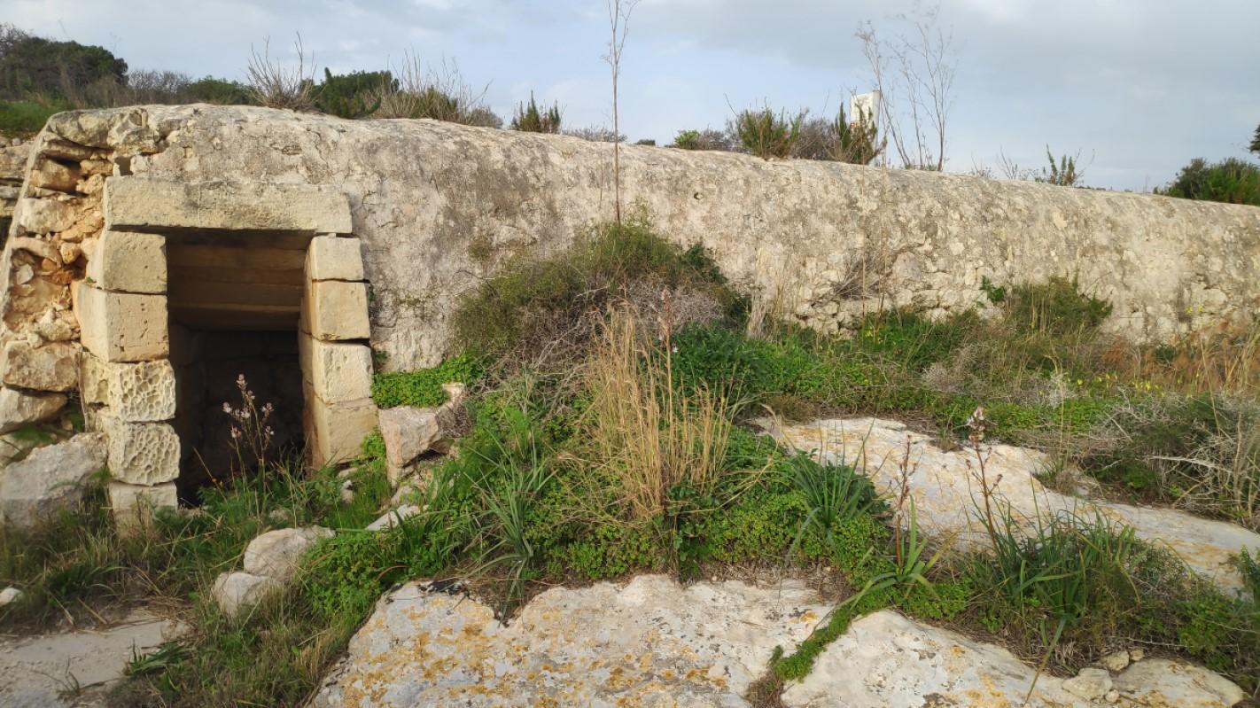 A surviving slit trench or ‘caterpillar’ shelter.