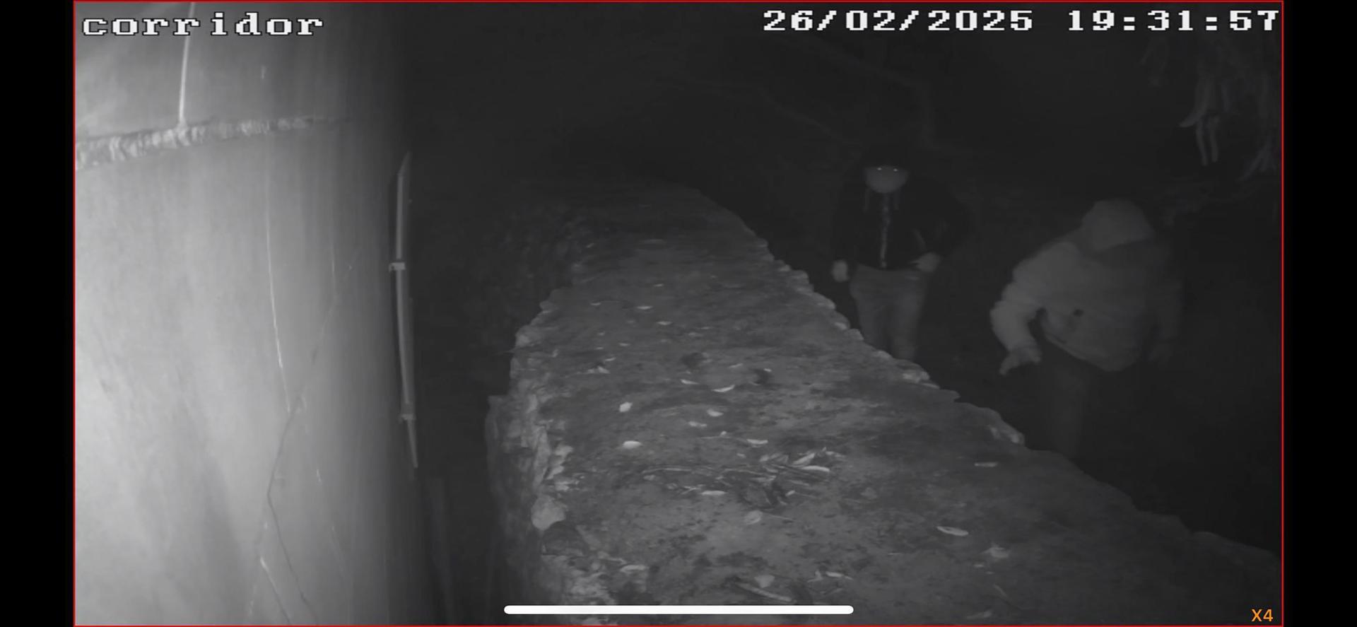 Two of the alleged thieves caught on CCTV camera.