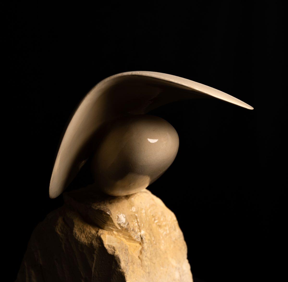 The contrast between the smooth, curved surfaces and the jagged bases invites a sensory response.