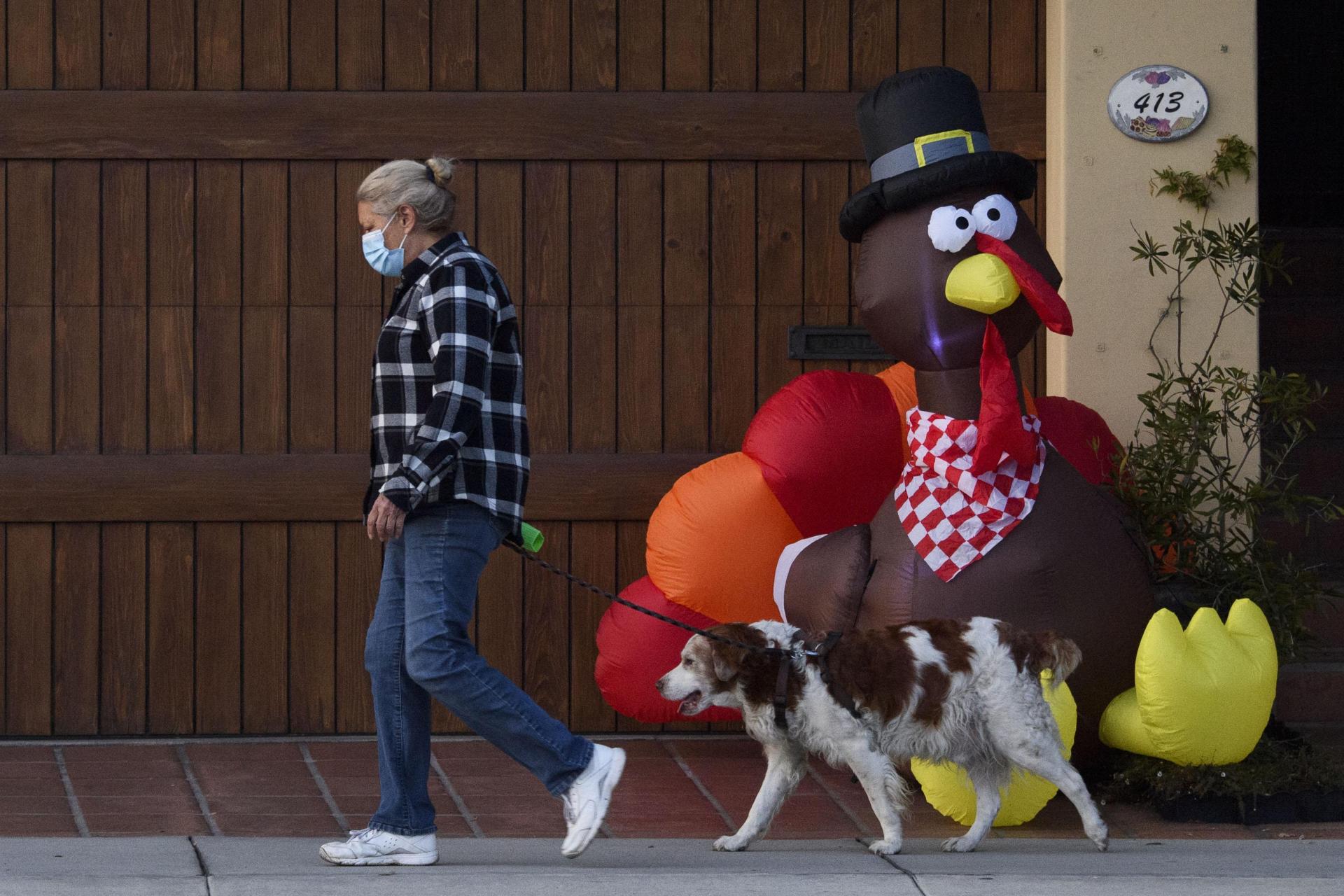 A pedestrian wearing a face mask walks her dog past an inflatable turkey ahead of the Thanksgiving holiday during increased COVID-19 restrictions in Manhattan Beach, California. Photo: AFP