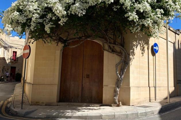 Proposed clinic in Attard centre will cause congestion, NGO warns