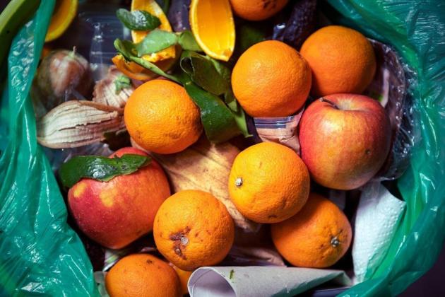 App facilitates redistribution of surplus food