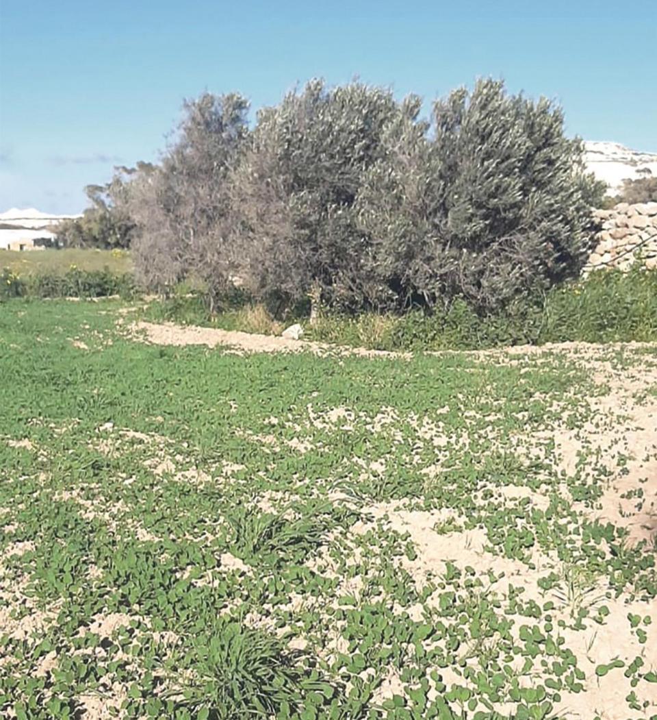 Mag tab Farmers Lament Loss Of Arable Land To Wasteserv