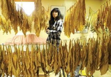 silk tobacco leaves Home-grown' rebellion ready to fight New York smoking laws
