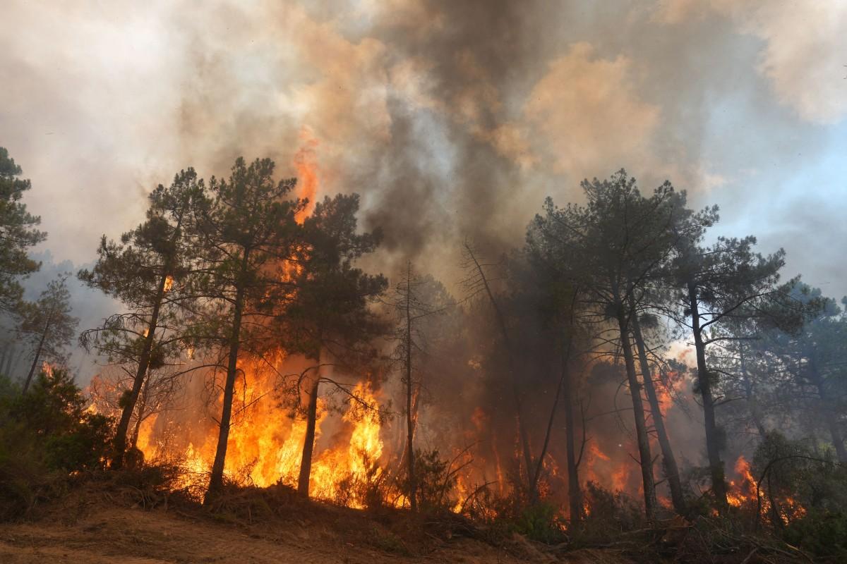 Erratic winds threatened to fan wildfires raging near Madrid even further. Photo: AFP