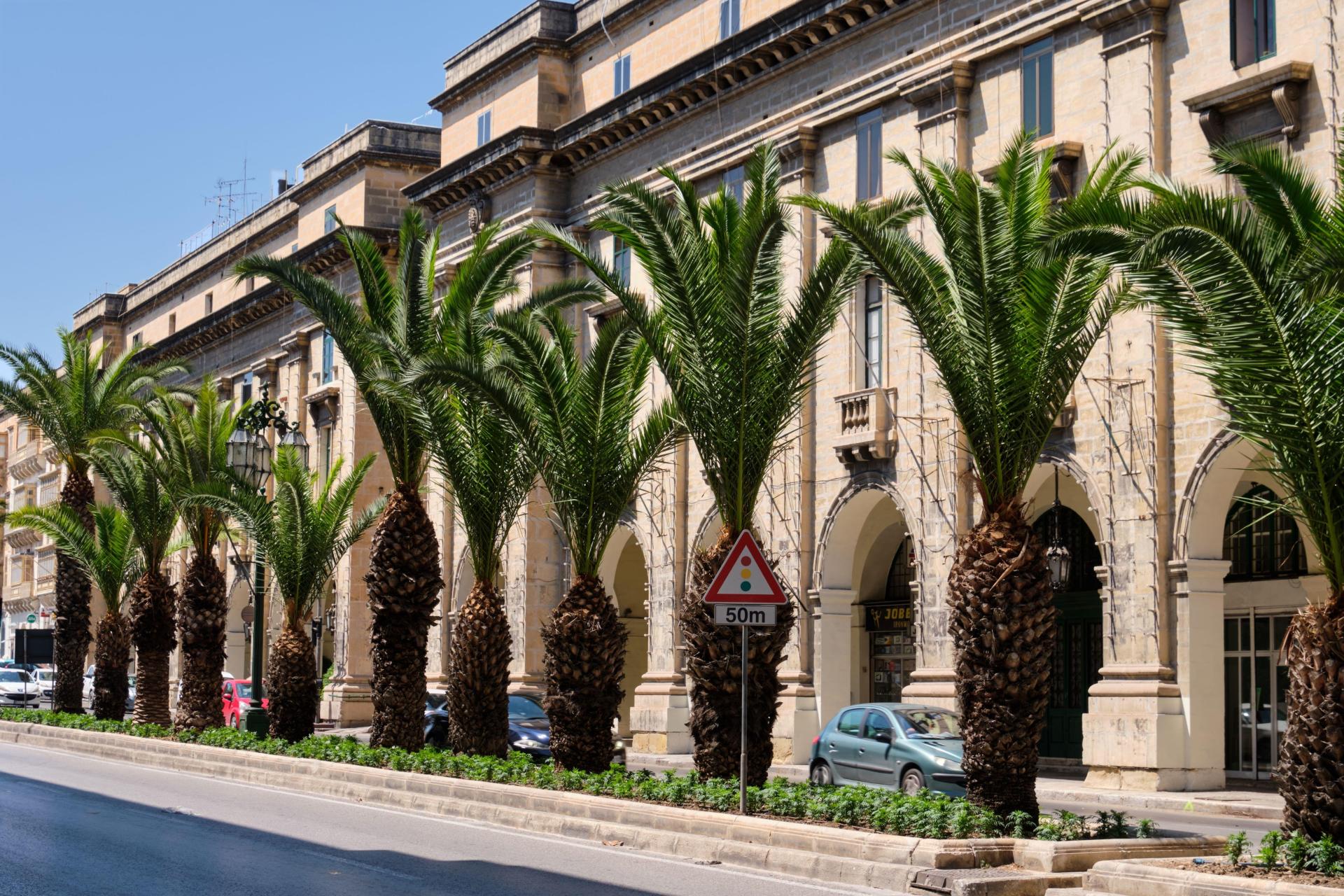 Plans to pedestrianise St Anne's Street were a key pledge in the manifesto. Photo: Shutterstock