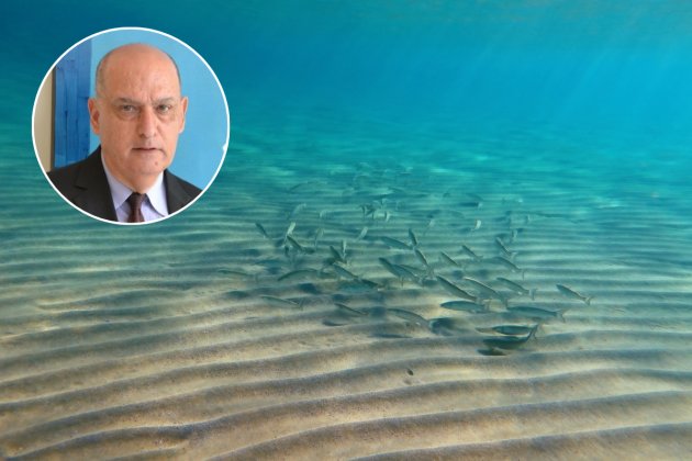 Strong marine heatwave grips Malta’s waters, as sea temperature hits 29°C