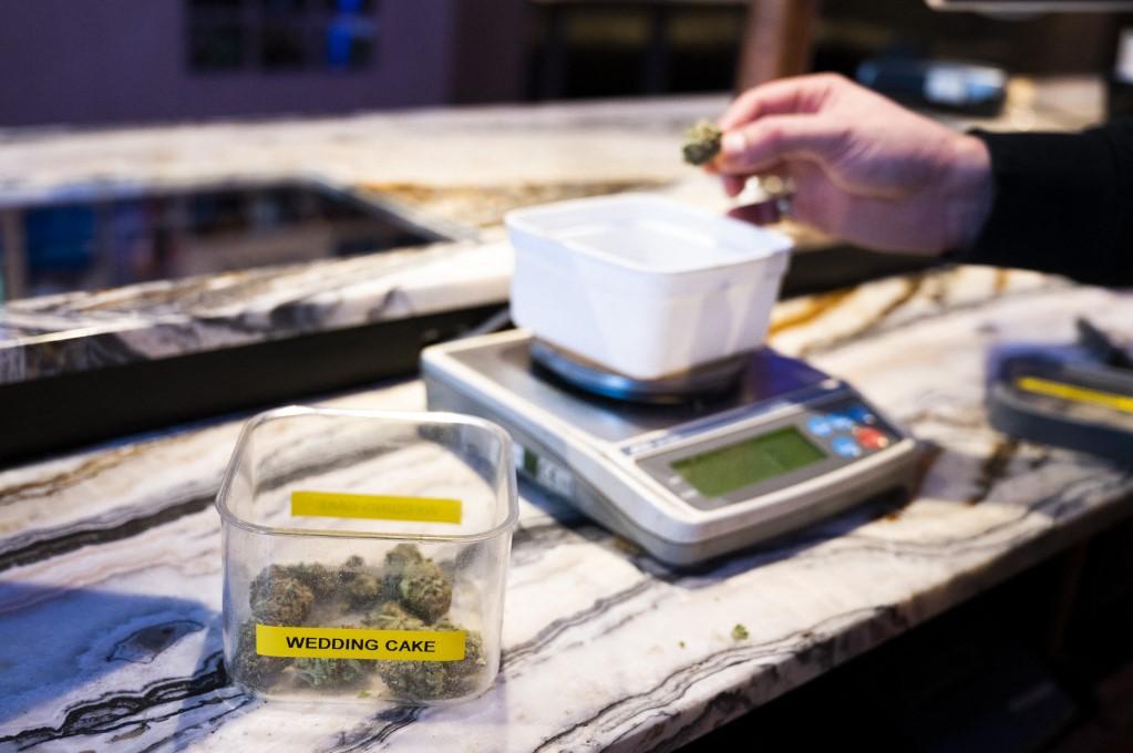 A shop assistant in the Netherlands weighs cannabis for sale. Photo: AFP