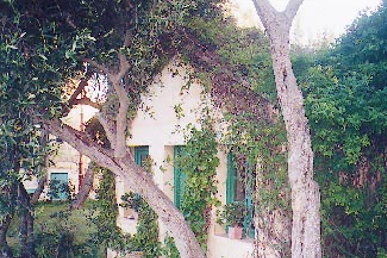 A photo of &lsquo;the hut that Jack built&rsquo;, taken from a 2000 article in <em>The Sunday Times of Malta</em> by David Arrigo. The hut was the nerve centre of British intelligence in Malta, liaising with SAS operations in North Africa.