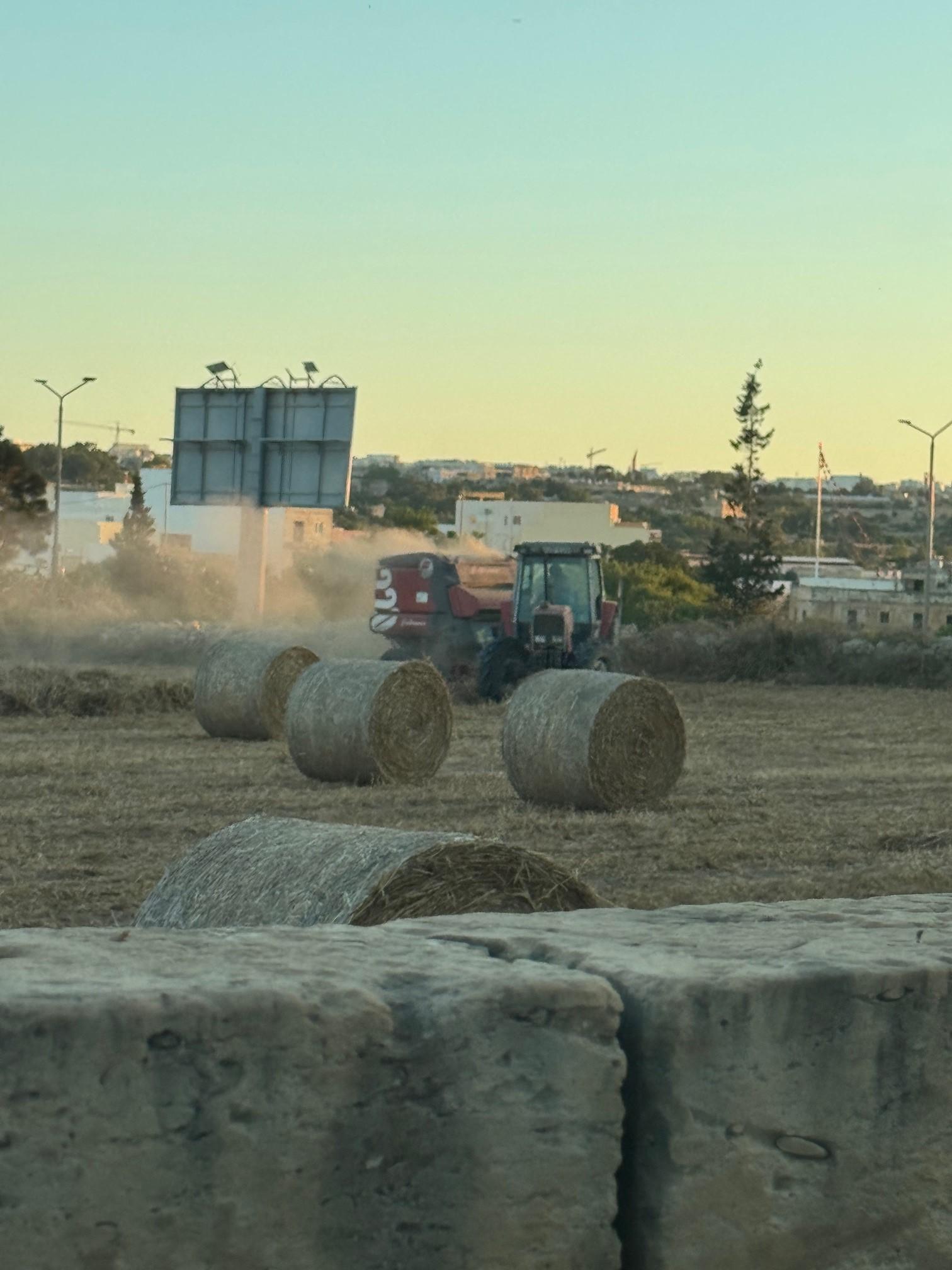 Fields being used for agricultural purposes.