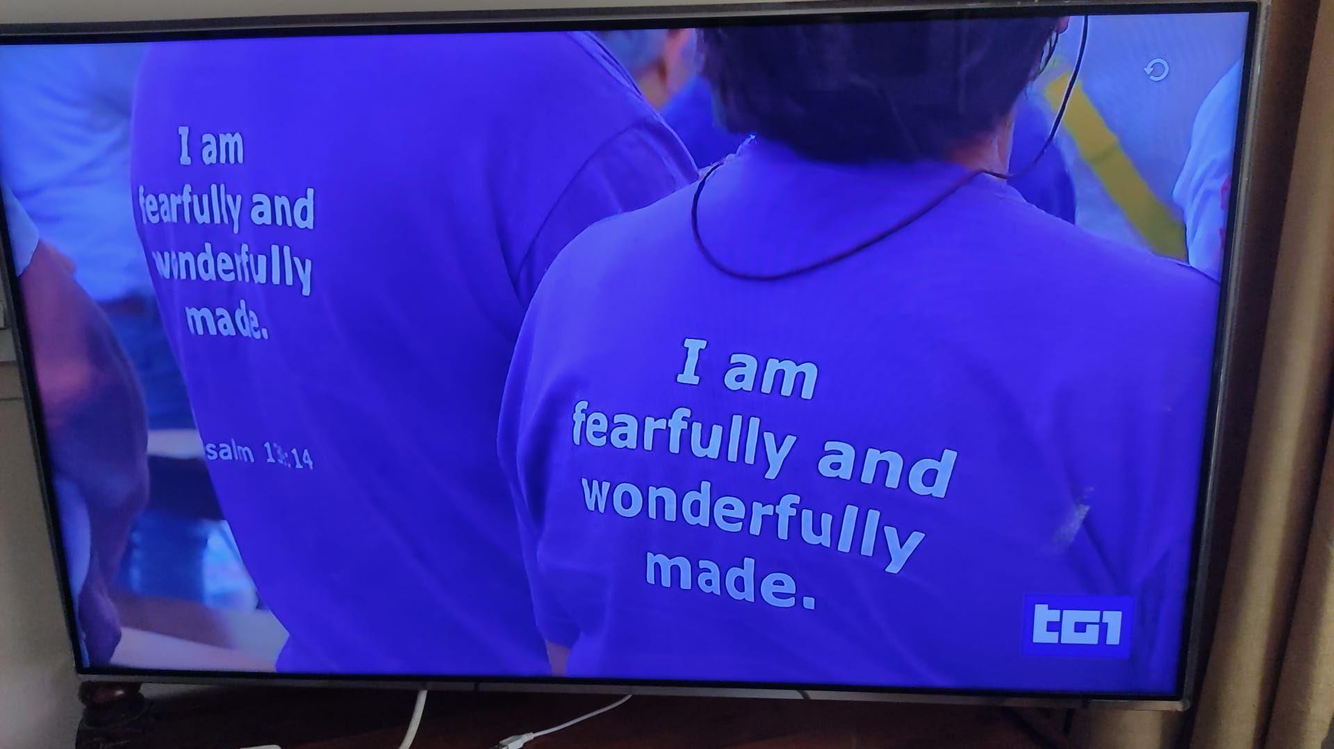 Participants wearing the Drachma LGBTI+&rsquo;s T-shirt with the phrase 'I am fearfully and wonderfully made' (Psalm 139:14), seen in TG1 news coverage of the event.