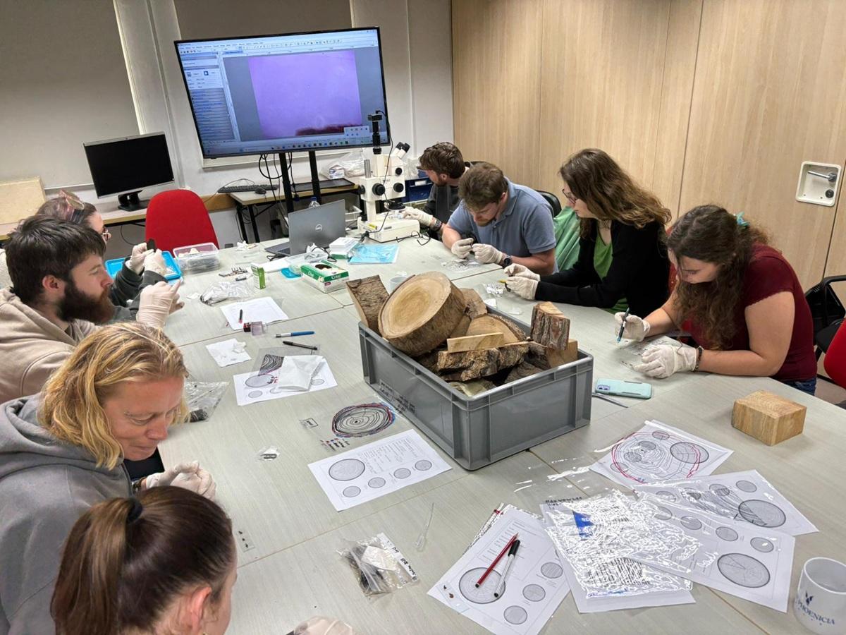Students dating tree rings during a workshop on waterlogged wood by Dr Ferreira Dominguez. Photo: MA Programme in Global Maritime Archaeology/Alba Ferreira Dominguez.