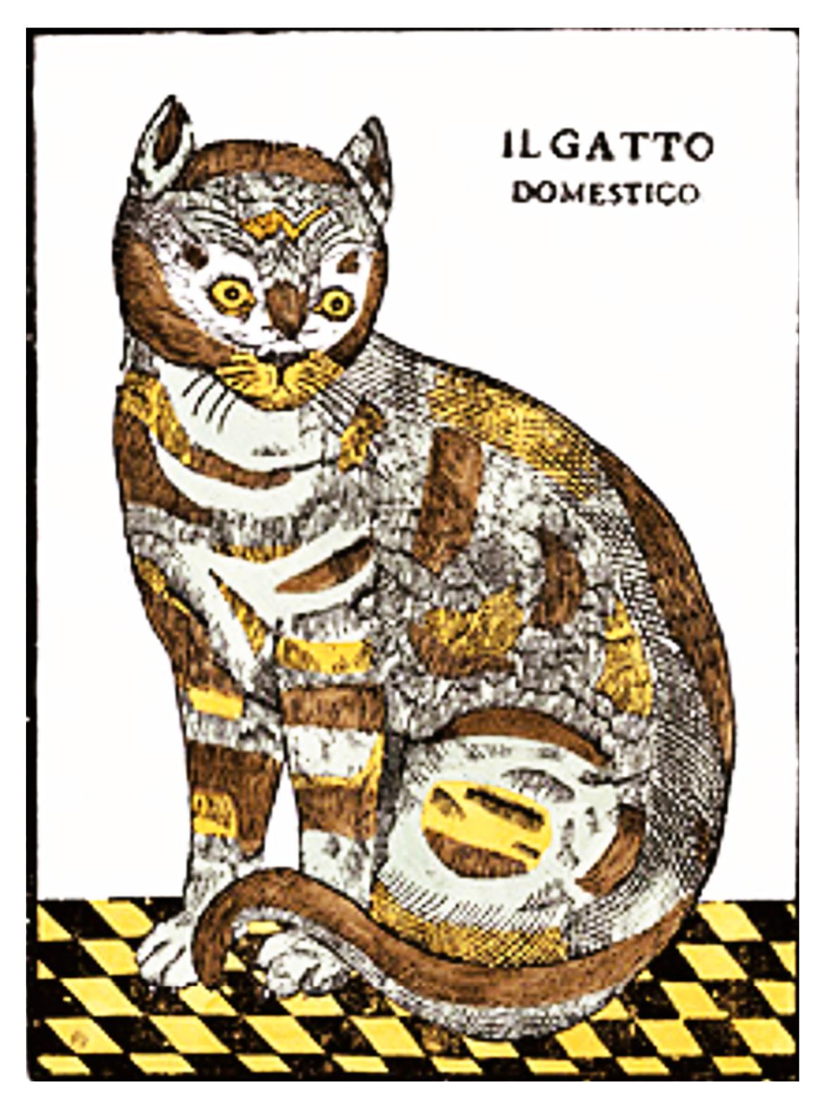 The renowned Venetian publishers Remondini tried unsuccessfully&nbsp;to sell books&nbsp;in Malta. The above is an illustration from one of their books.