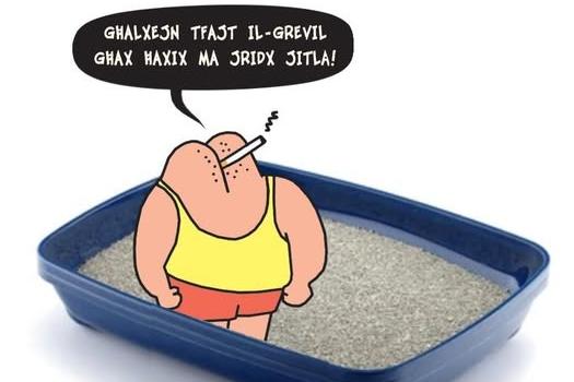 The grevil even made it to Steve Bonello's cartoons.