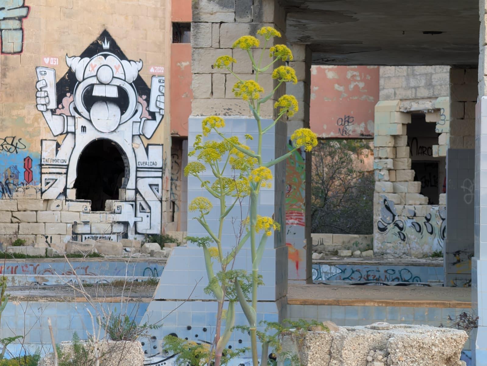 The buildings have been turned into an official site for local graffiti artists. Photo: Chris Sant Fournier
