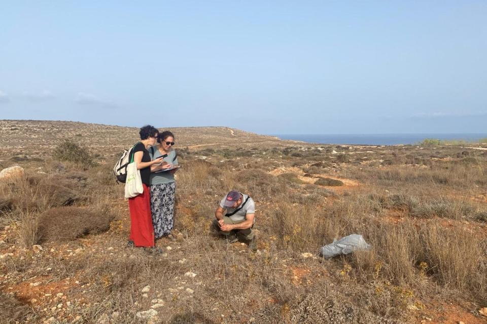 Counting pollinators in the field as part of ERA’s MPOMS (Malta Pollinators Monitoring Scheme) Citizen Science campaign. Photo: Yanika Farrugia