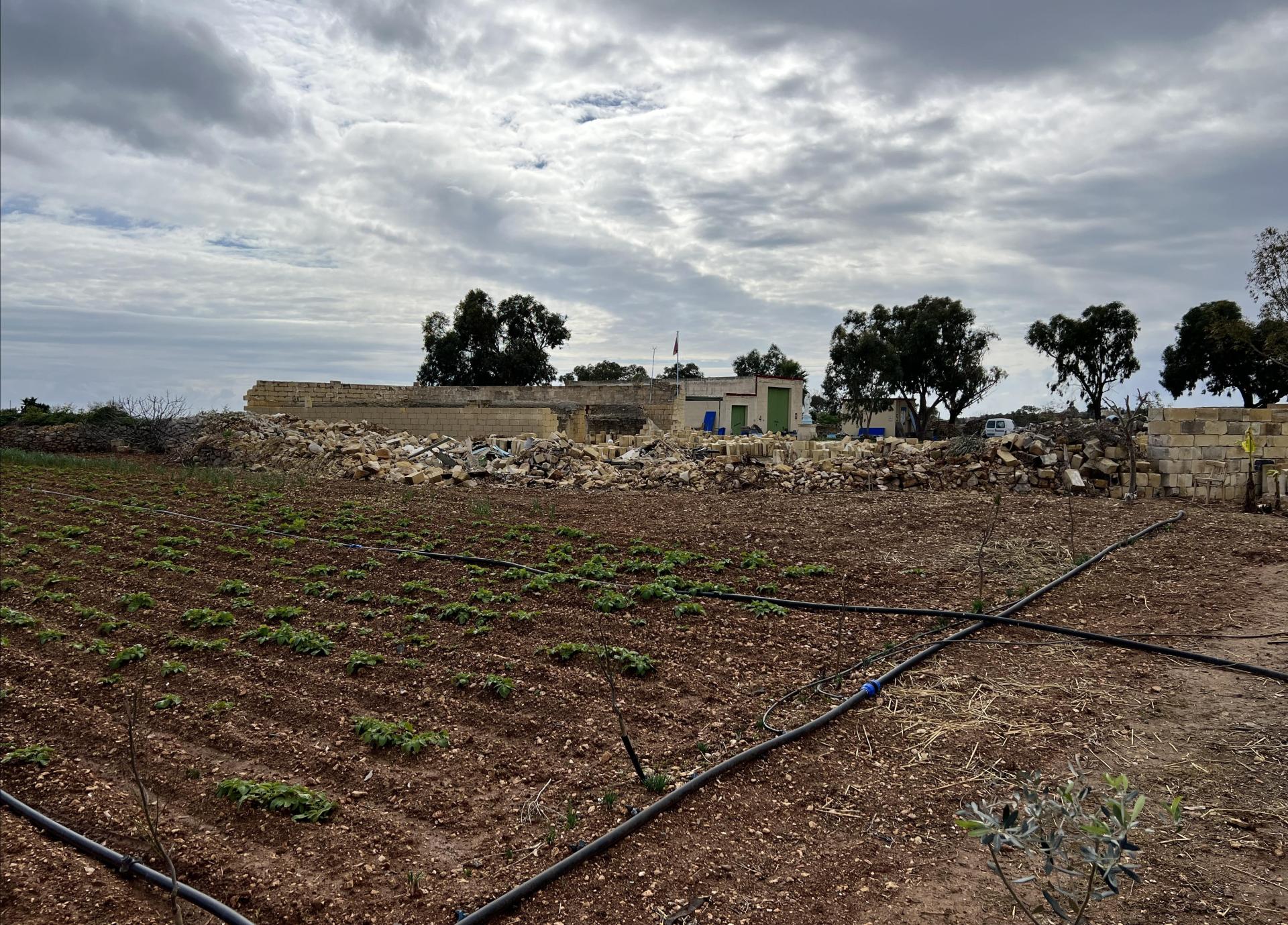 A new farmer's market is being promised. File photo