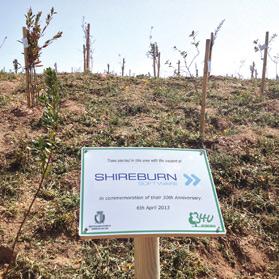 Shireburn staff, their families and friends planted 30 Maltese indigenous trees at the Sant&rsquo;Antnin Family Park in Marsascala.