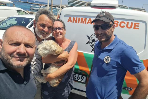 Arno the dog rescued after more than two hours at sea