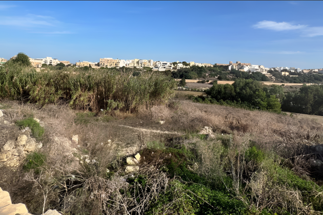 Residents, activists take government to court over 'zombie' development permits