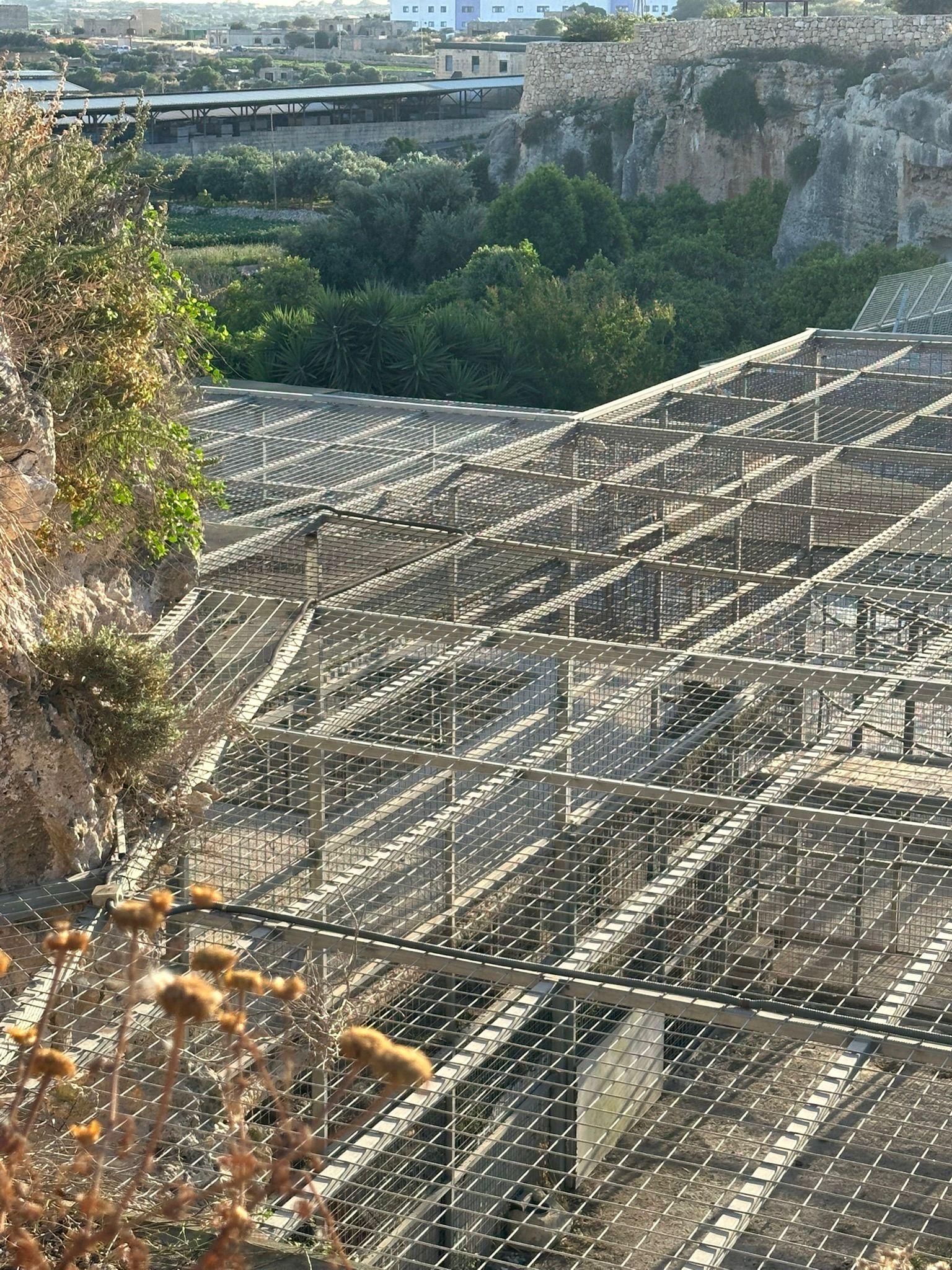 The enclosures activists say are being used to house the lions and leopard. Photo: Vuċi għall-Annimali