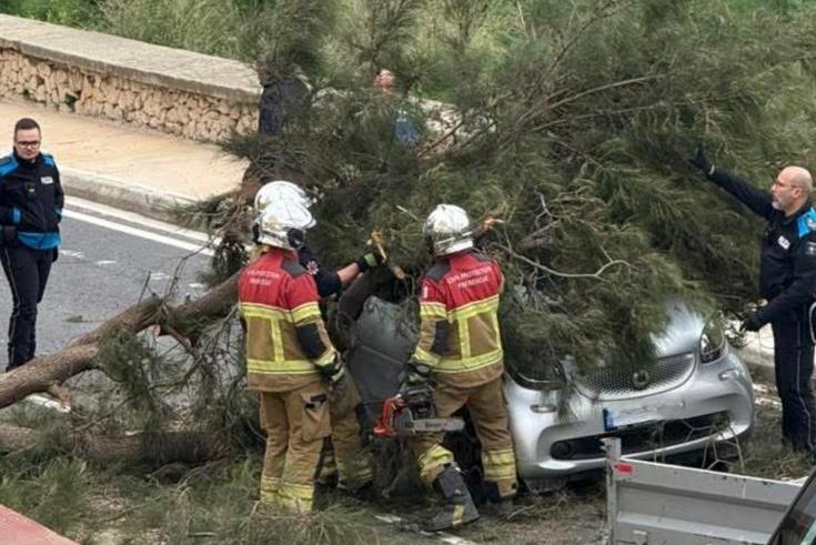 Civil Protection workers remove a tree blocking a road in San Gwann. Photo Jonathan Borg.