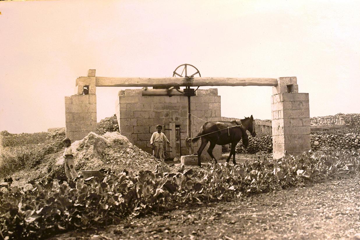 Photo from Giovanni Bonello's private collection