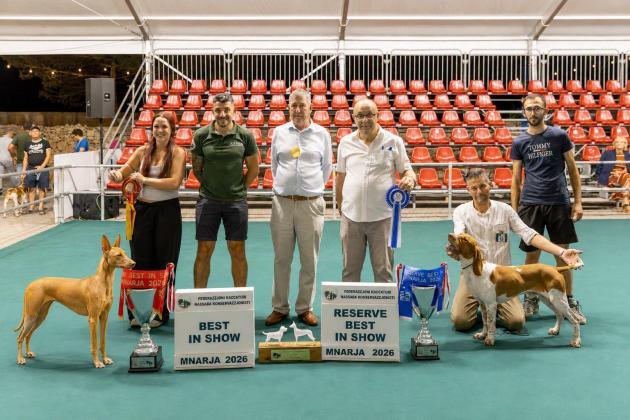 Dogs crowned winners at annual show marking start of Imnarja