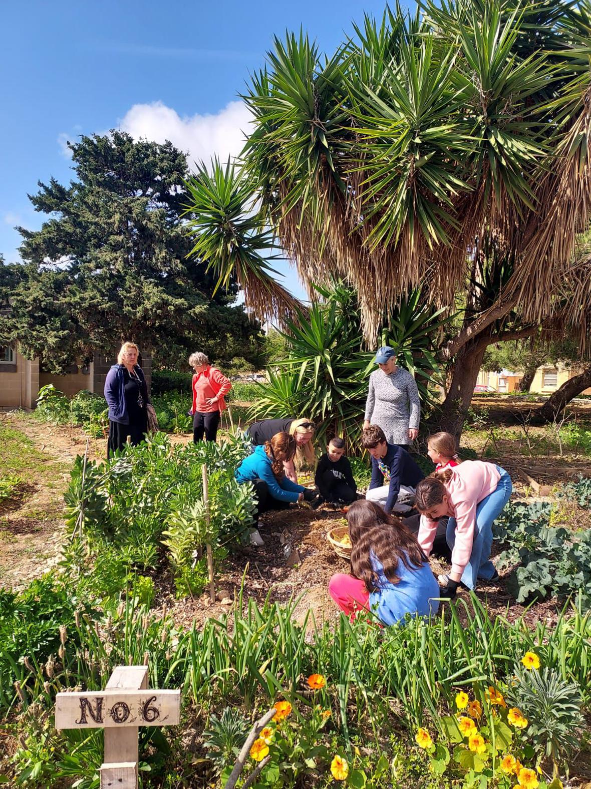 Families tending to their plots of land.