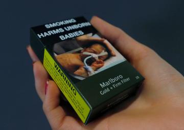 what mold smells like cigarette smoke How to Get Cigarette Smell Out of a House + Why Hire a Pro