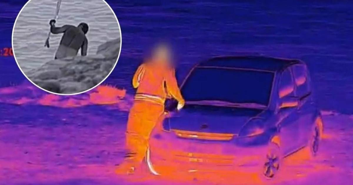 ‘They drove at us' - fisheries official on alleged spearfisher escape
