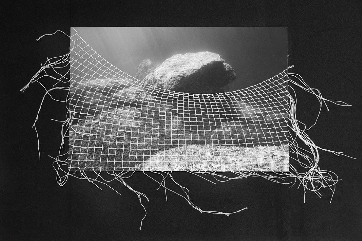 <em>Net Loss I</em>, 2025