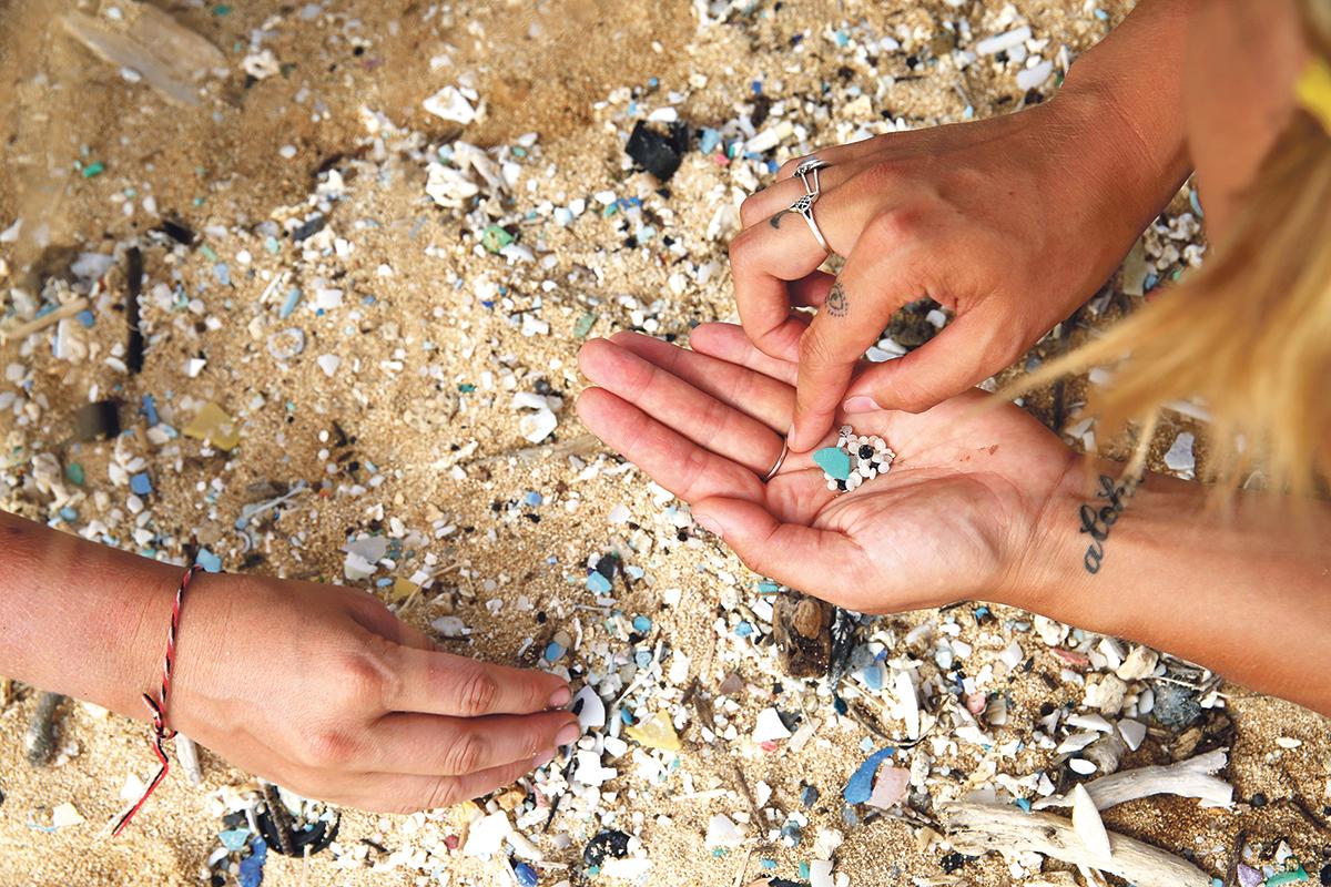 Plastics found on the North Pacific leg from Hawaii to Vancouver. Photo: Eleanor Church Lark Rise Pictures