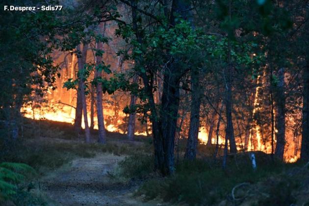 Huge fire rages in Fontainebleau forest near Paris