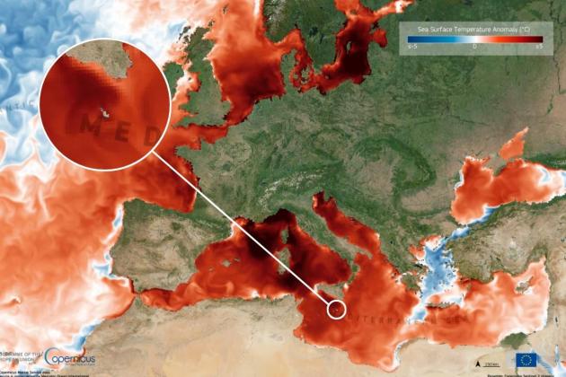 Mediterranean surface temperatures rise as Europe swelters in record heatwave