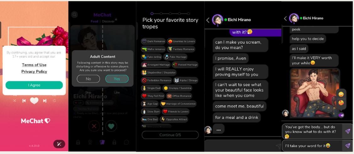 An example of the chat &ndash; MEcHAT
