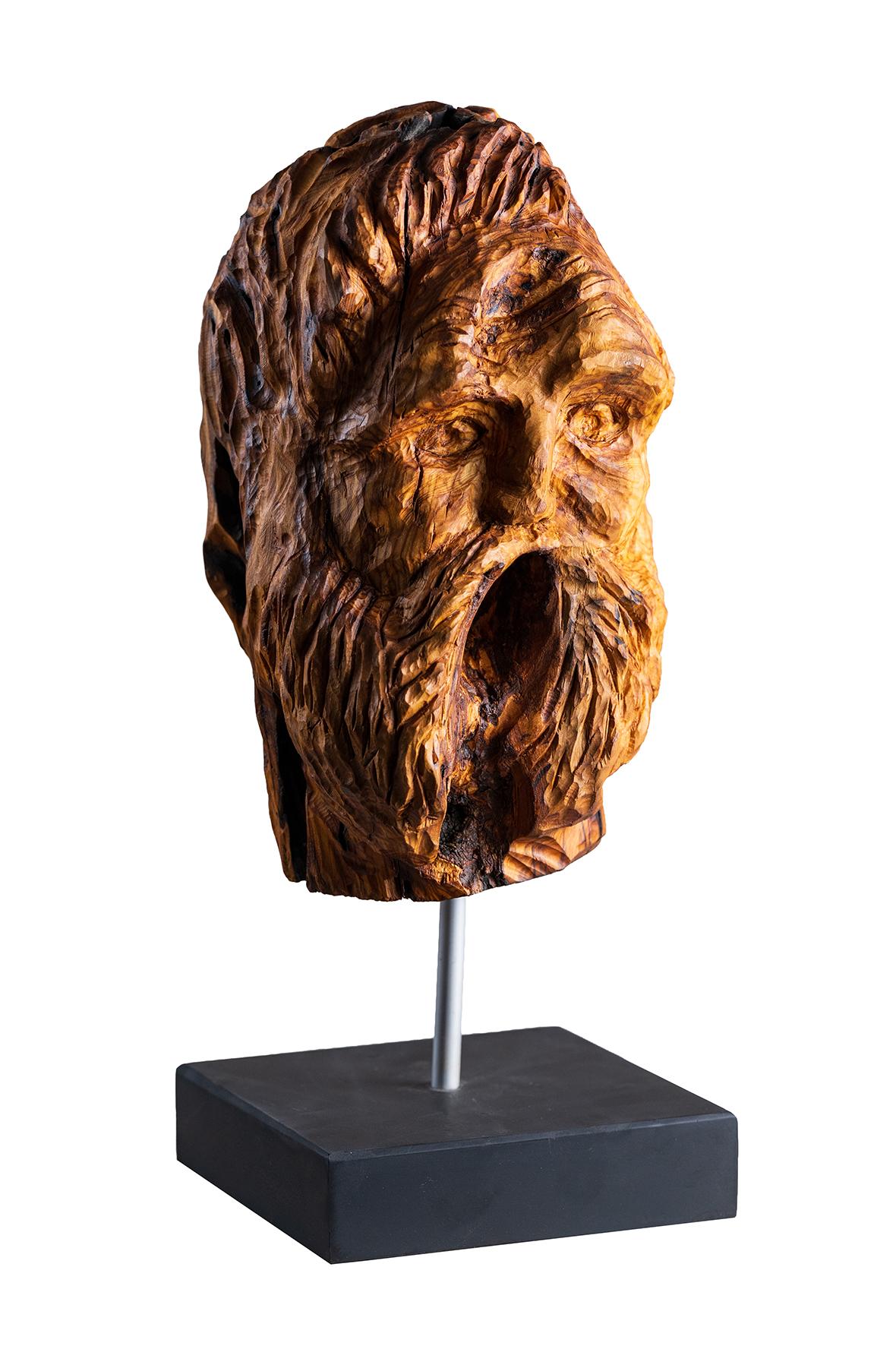 <em>The Scream</em>