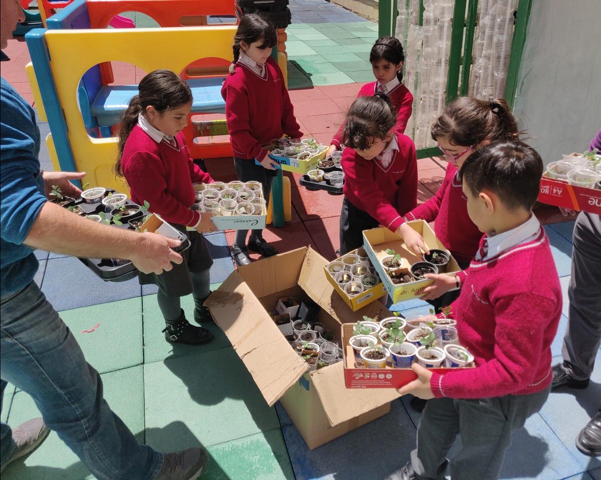 Hands-on sowing sessions in schools in collaboration with Ambjent Malta and their Nature Stewards are ongoing. Photos: Nature Trust – Fee Malta